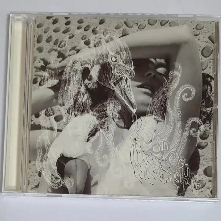 [BUNJANG] Bjork Vespertine CD Album / 비요크 Vespertine 앨범 시디 CD