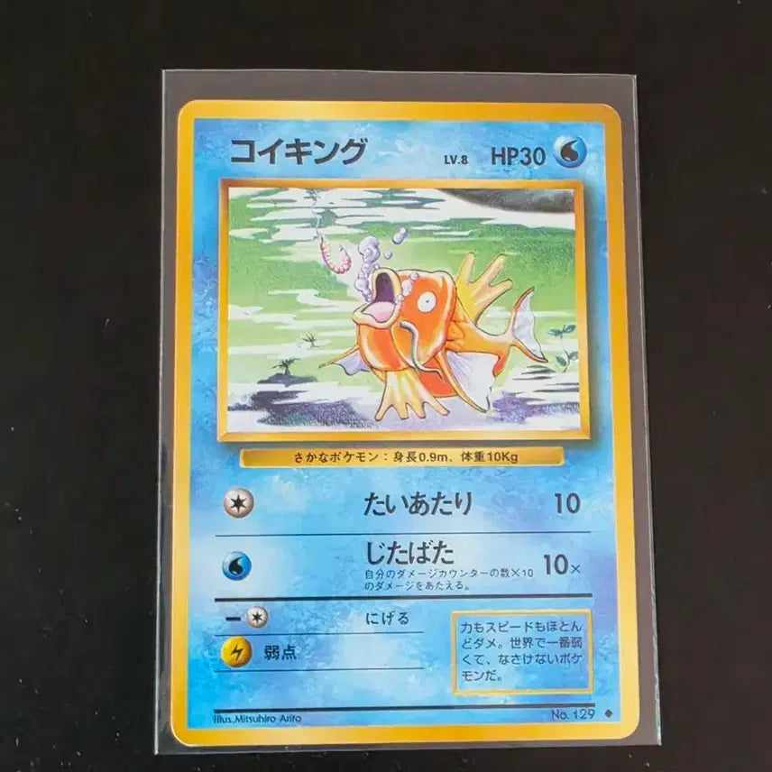 [BUNJANG] Pokemon 1st Edition Magikarp Card / 1st 초판 잉어킹카드