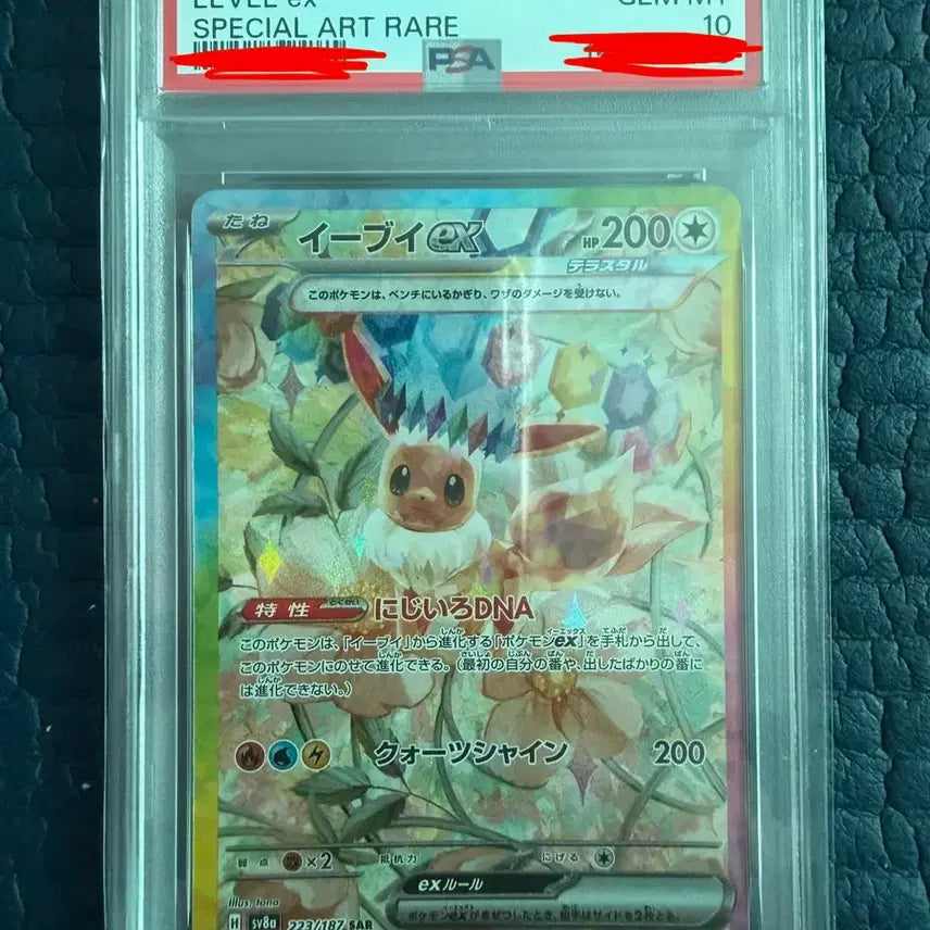 [BUNJANG] Eevee ex SAR Terastal PSA 10 (Japanese) / 이브이 ex SAR 테라스탈 PSA 10(일어판)