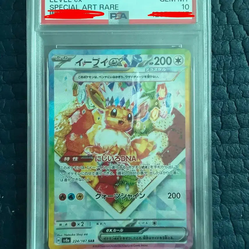 [BUNJANG] Eifie ex SAR Terastal PSA 10 (Japanese) / 이브이 ex SAR 테라스탈 PSA 10(일어판)