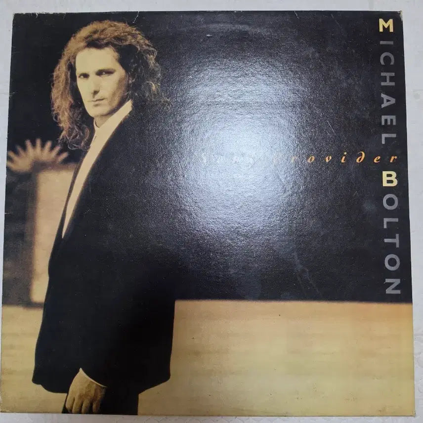 [BUNJANG] Michael Bolton LP / 마이클 볼튼 LP Provider
