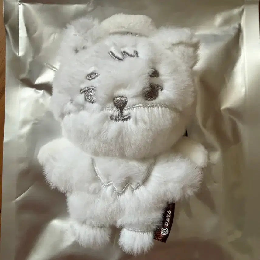 [BUNJANG] Young K Youngest Solo Concert Goods Secret Plush Keychain / 영케이 시크릿 플러시 키링 천사 쁘멀 케