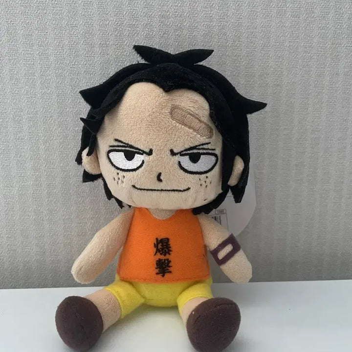 [BUNJANG] One Piece Ace Childhood Plush Doll / 원피스 에이스 유년시절 누이 인형