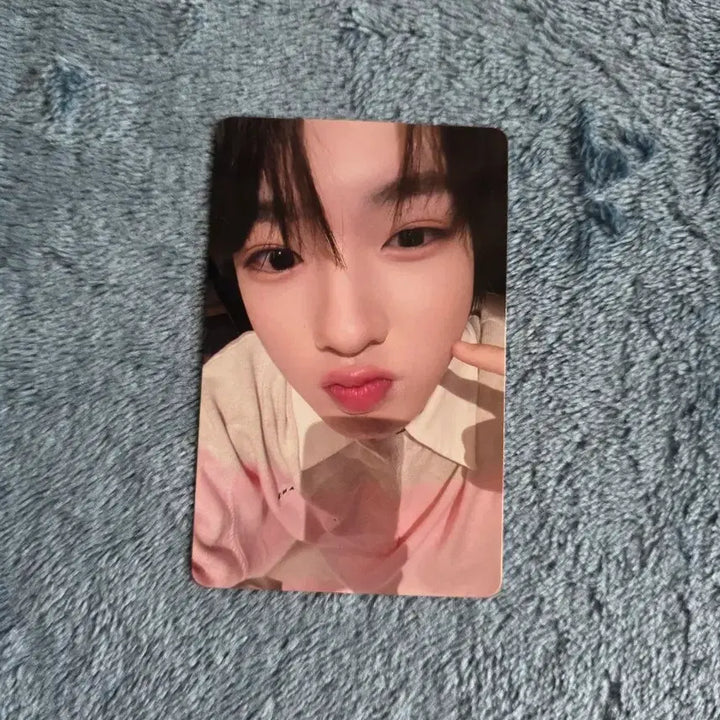 [BUNJANG] NCT WISH Sakuya Photocard / 엔시티위시 사쿠야 포토카드 양도