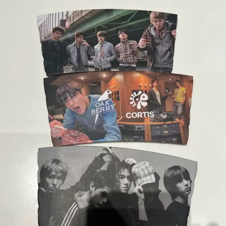 [BUNJANG] Oakberry Cortis 3-Set New Product / 오크베리 코르티스 3종 세트 새상품