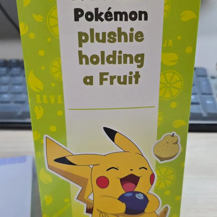 [BUNJANG] Squirtle Berry Pokemon Plush / 열매 든 포켓몬 인형 꼬부기