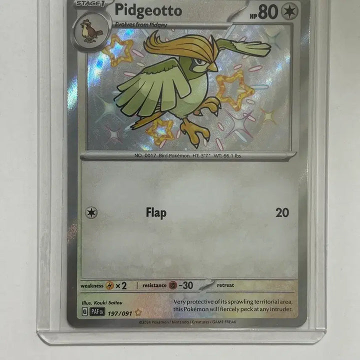 [BUNJANG] Pidgeot Shiny Paldean Regional 197/091 Pokemon Card / 피죤 이로치 북미 팔데안 197/091 포켓몬 카드 Paldean