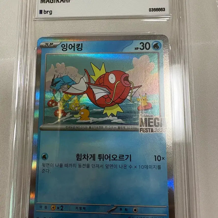[BUNJANG] Gyarados Promo Card (Serial Number: 0366663) / 일련 번호: 0366663 BRG 9 2026 잉어킹 프로모 카드