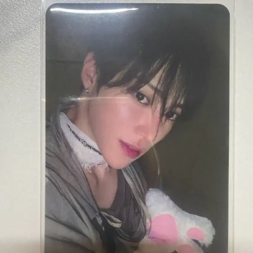 [BUNJANG] Alpha Drive 1 Apple Music Kuma Paw POB Photocard / 알디원 애플뮤직 쿠마발바닥 아르노