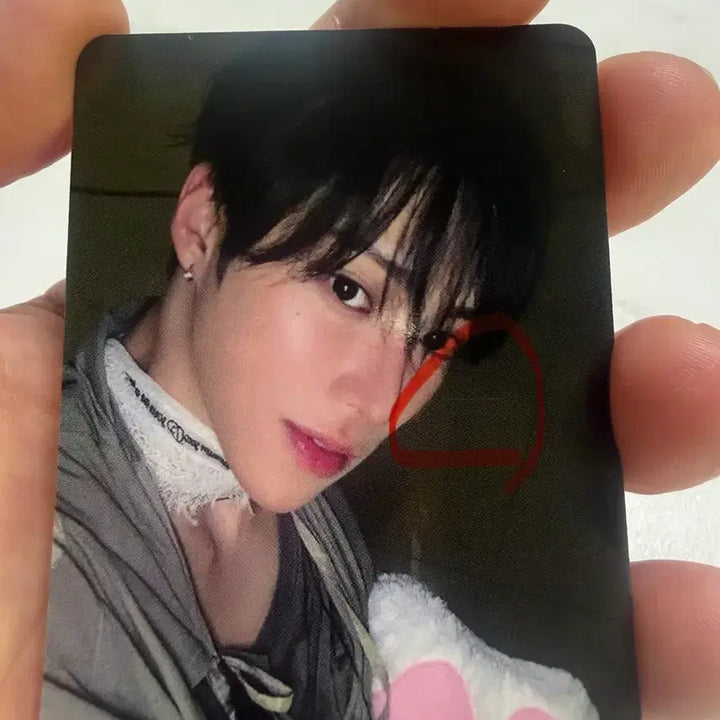 [BUNJANG] Alpha Drive 1 Apple Music Kuma Paw POB Photocard / 알디원 애플뮤직 쿠마발바닥 아르노