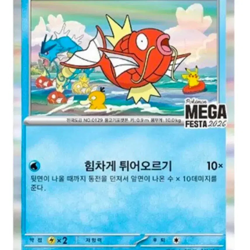 [BUNJANG] Pokemon Magikarp Promo Card Bundle (2 Cards) / 포켓몬 잉어킹 프로모 카드 2장 일괄