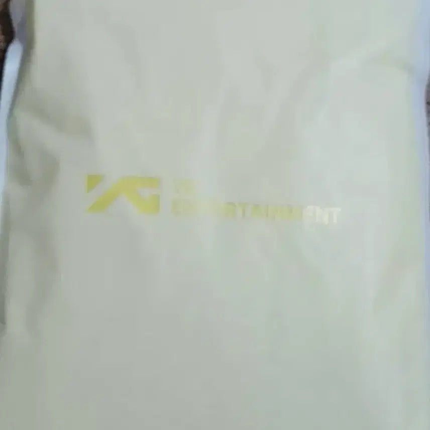 [BUNJANG] Bigbang Raincoat / 빅뱅 우비