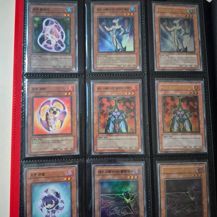 [BUNJANG] Yu-Gi-Oh! Elemental HERO Judai Bundle Set (Season 2 Focus) / 유희왕 히어로 쥬다이 앨범 4번 일괄 분할X 2기 시즌 위주