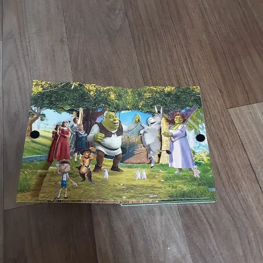 [BUNJANG] Shrek 2 DVD / 슈렉2 DVD