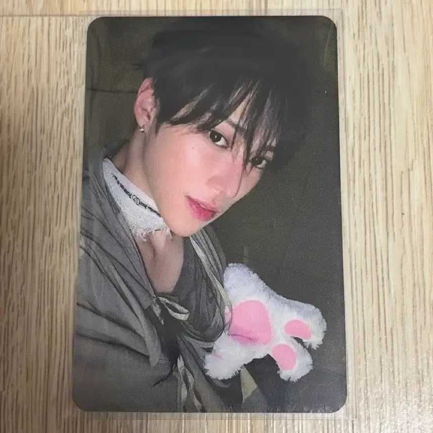 [BUNJANG] ALDI1 Apple Music POB Photocard Arno / 알디원 애플뮤직 미공포 포카 쿠마발바닥 아르노