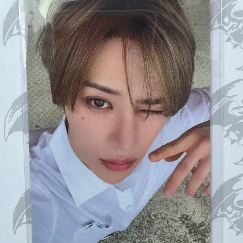 [SOLD OUT] [BUNJANG] ARNO Lucky Draw Photocard / 알디원 팝업 영통팬싸 포카 아르노