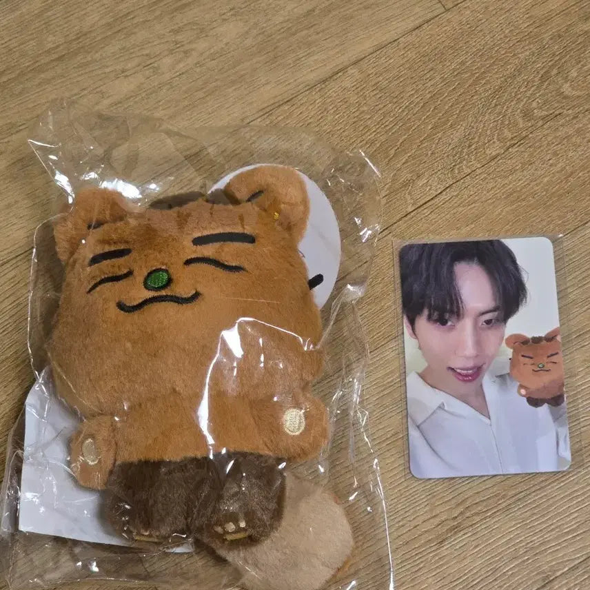 [BUNJANG] INFINITE SPIRITZ Dongwoo Doll (with Photocard) / 인피니트 피릿츠 팝업 인형(포카포함) 또또 동우