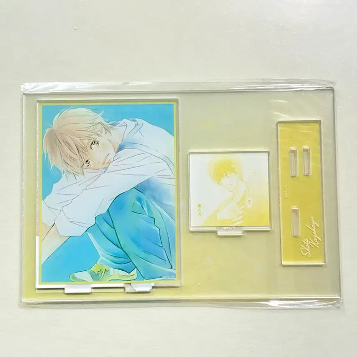 [BUNJANG] Kimi ni Todoke Sawako Kuronuma Acrylic Bundle Set / (일괄) 너에게 닿기를 카제하야 사와코 아크릴