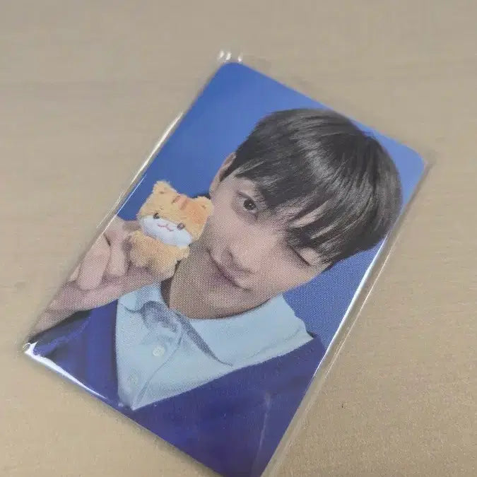[BUNJANG] Ateez TinyAteez Mini Doll Hongjoong Photocard / 애니티즈 인 데자부 에이티즈 타이니애니티즈미니인형 홍중 포카
