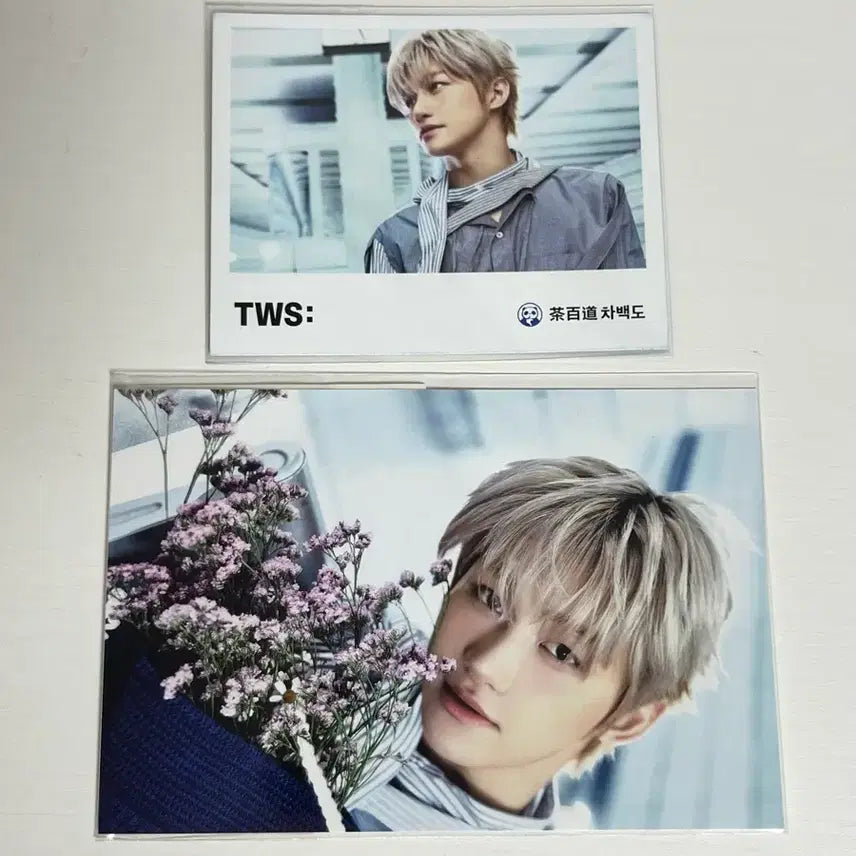 [BUNJANG] TWS Han Jihun Postcard Photocard Lucky Draw / 투어스 tws 한지훈 지훈 엽서지류포카 차백도 특전 팝업