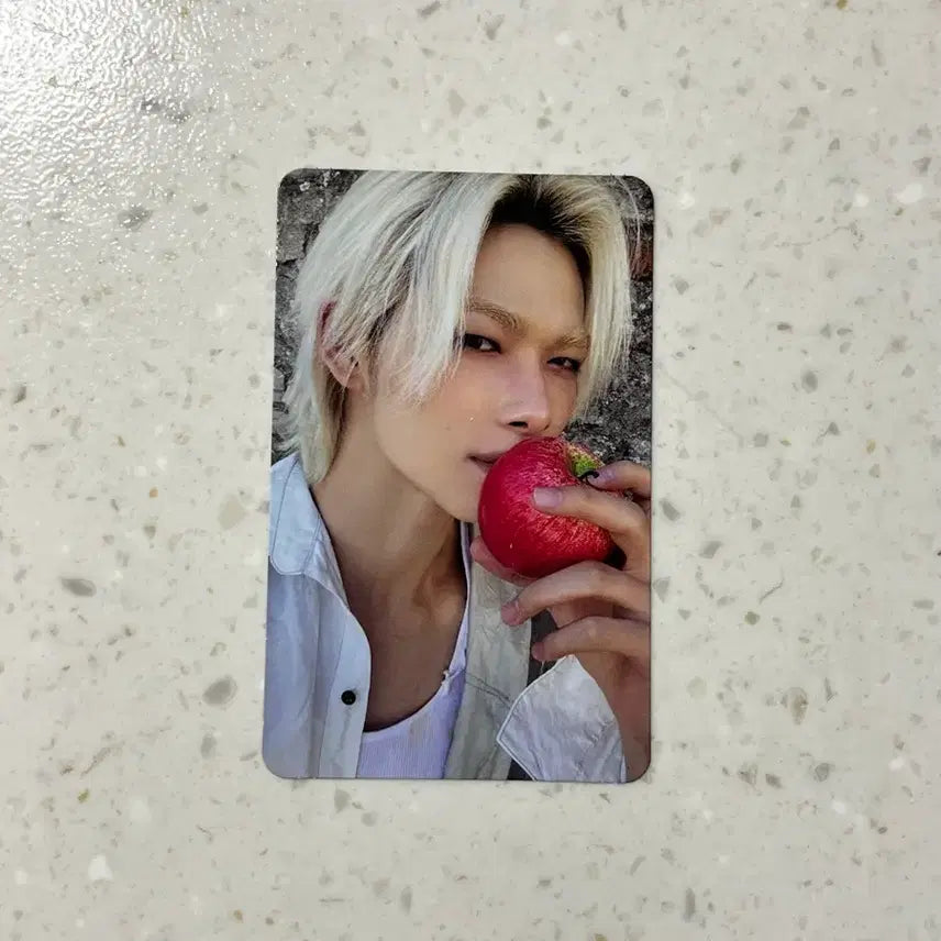 [BUNJANG] ENHYPEN EN of the BEGINNING : CPY PHOTOCARD NIKI / 엔하이픈 베니쉬 엔진반 니키 포카