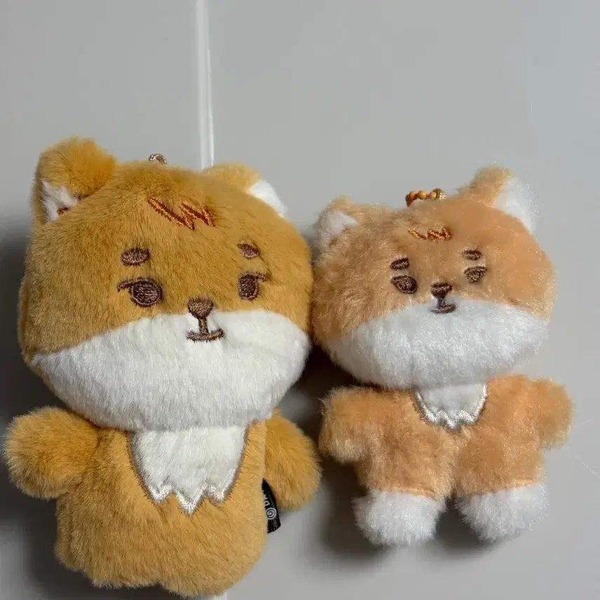 [BUNJANG] DAY6 Young K Bundle Set Finger Pouch / 일괄) 쁘쁘멀 케, 손가락 케