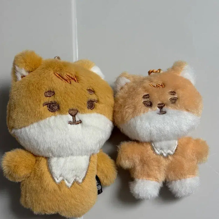 [BUNJANG] DAY6 Young K Bundle Set Finger Pouch / 일괄) 쁘쁘멀 케, 손가락 케