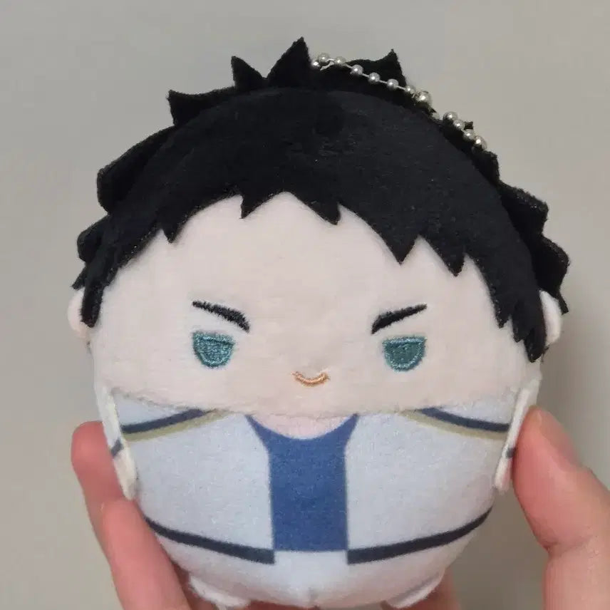 [BUNJANG] Haikyuu!! Keiji Akaashi FuwaKororin S with Pouch / 하이큐 아카아시 케이지 후와코로링 s (+파우치)