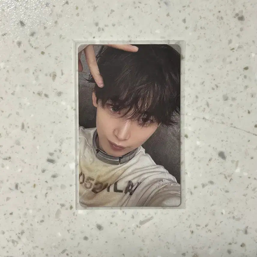 [BUNJANG] ENHYPEN Sunwoo Desire Unleashed Weverse Ver. Cat Ear Photocard / 엔하이픈 디자이어 언리쉬 위버스반 선우 고양이귀 포카