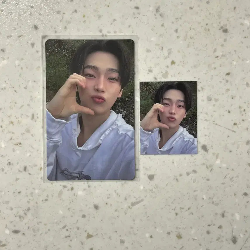 [BUNJANG] ENHYPEN Sunoo BESH Weverse Exclusive Photocard / 엔하이픈 베니쉬 위버스 예약 구매 특전 선우 포카