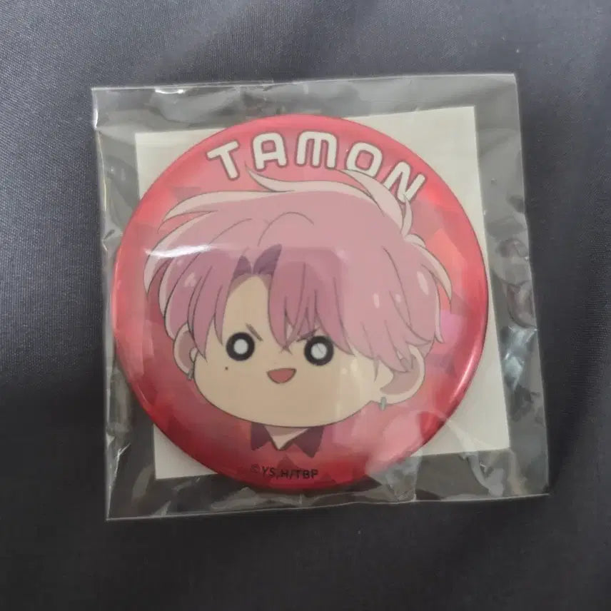 [BUNJANG] Tamon-kun Kuji Canned Badge / 타몬군 쿠지 타몬 캔뱃지
