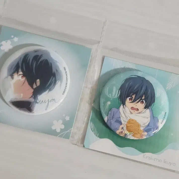 [BUNJANG] Free! Ikuya Jurota Magnetic Can Badge Bundle Set / 일괄) free! 프리 이쿠야 자석 캔뱃지