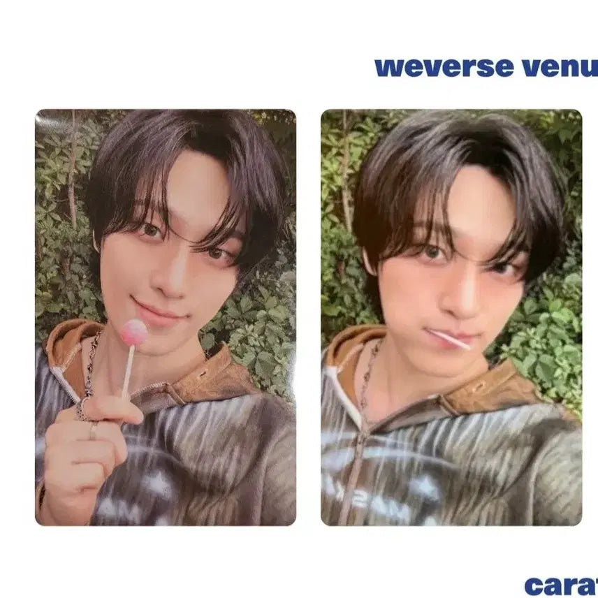 [BUNJANG] SEVENTEEN Dino Blood Iron Billboard Show Chairman Limited Pickup Photocard / 세븐틴 디노 피철인 길보드쇼 회장한정 픽업 한정 포카