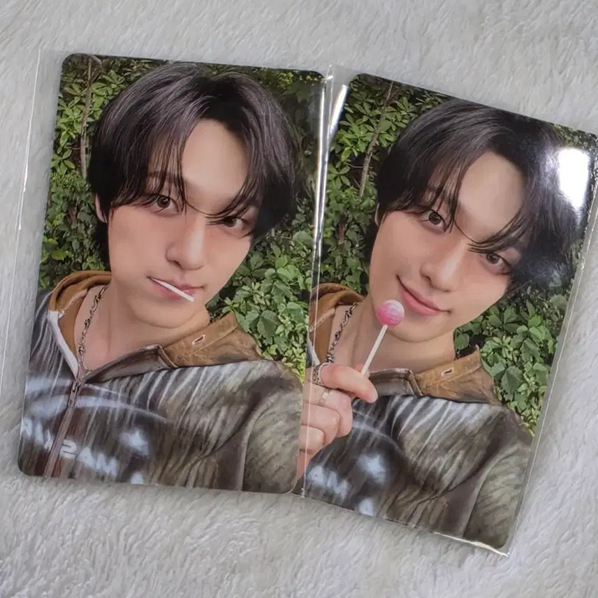 [BUNJANG] SEVENTEEN Dino Blood Iron Billboard Show Chairman Limited Pickup Photocard / 세븐틴 디노 피철인 길보드쇼 회장한정 픽업 한정 포카