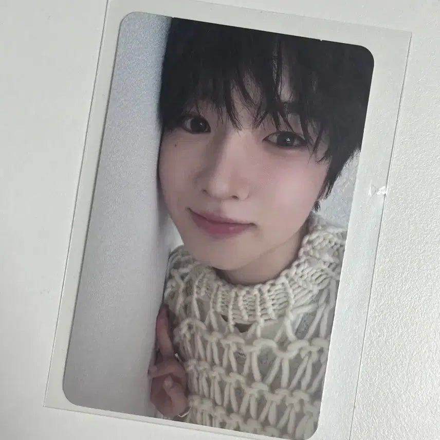 [BUNJANG] NCT WISH Sakuya Steady Photocard / 엔시티위시 스테디 사쿠야 포카 포토카드