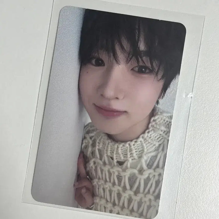 [BUNJANG] NCT WISH Sakuya Steady Photocard / 엔시티위시 스테디 사쿠야 포카 포토카드