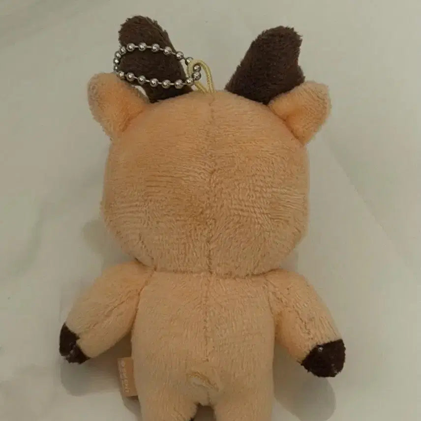 [BUNJANG] RIIZE Sungchan 1st Gen 10cm Keyring / RIIZE 라이즈 성찬 1기 우락밤 10cm 키링