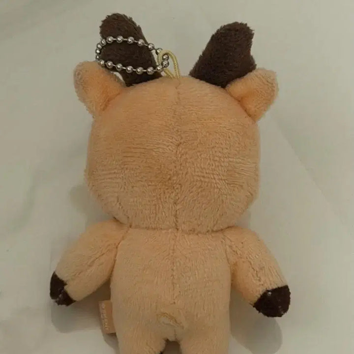 [BUNJANG] RIIZE Sungchan 1st Gen 10cm Keyring / RIIZE 라이즈 성찬 1기 우락밤 10cm 키링