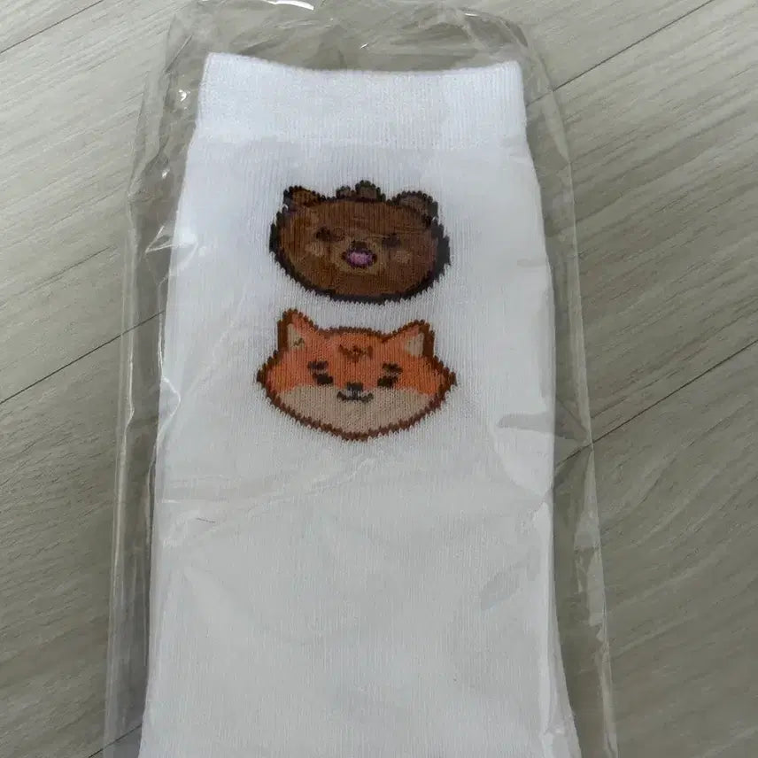 [BUNJANG] DAY6 Concert Socks / 데이식스 클콘 양말