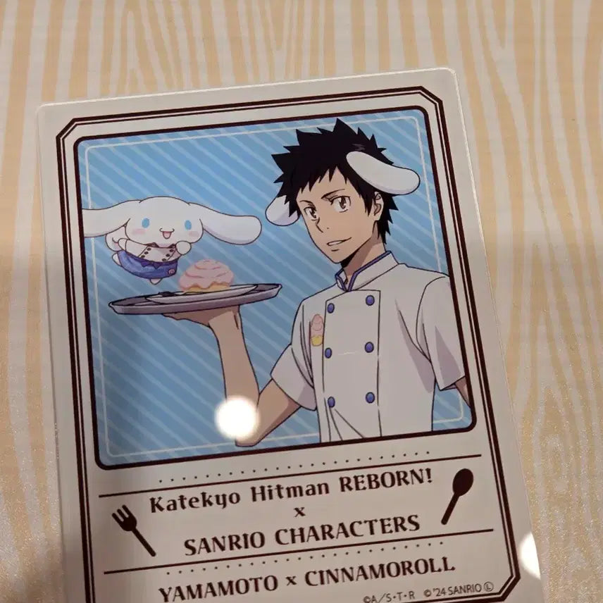 [BUNJANG] Katekyo Hitman Reborn! Sanrio Acrylic Card Yamamoto / 가히리 팝업 산리오 아크릴카드 야마모토 시나모롤 가정교사히트맨리본