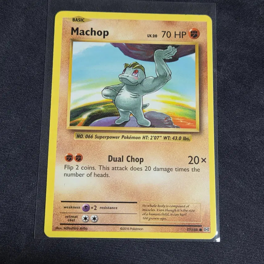 [BUNJANG] Pokemon Card North American XY Evolutions Machop / [포켓몬 카드] 북미판 xy에볼루션 알통몬