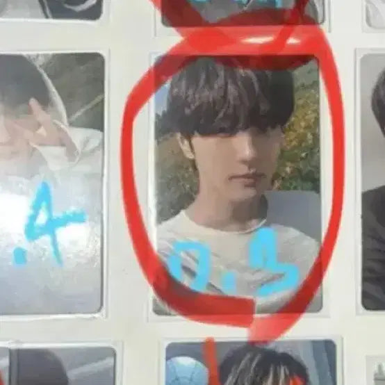 [BUNJANG] Yang Jeong-won Photocard / 양정원