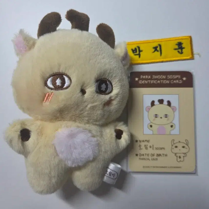 [BUNJANG] Park Ji Hoon So Sim Yi Doll Bundle Set / 소심이(포카 포함),박지훈 명찰 판매