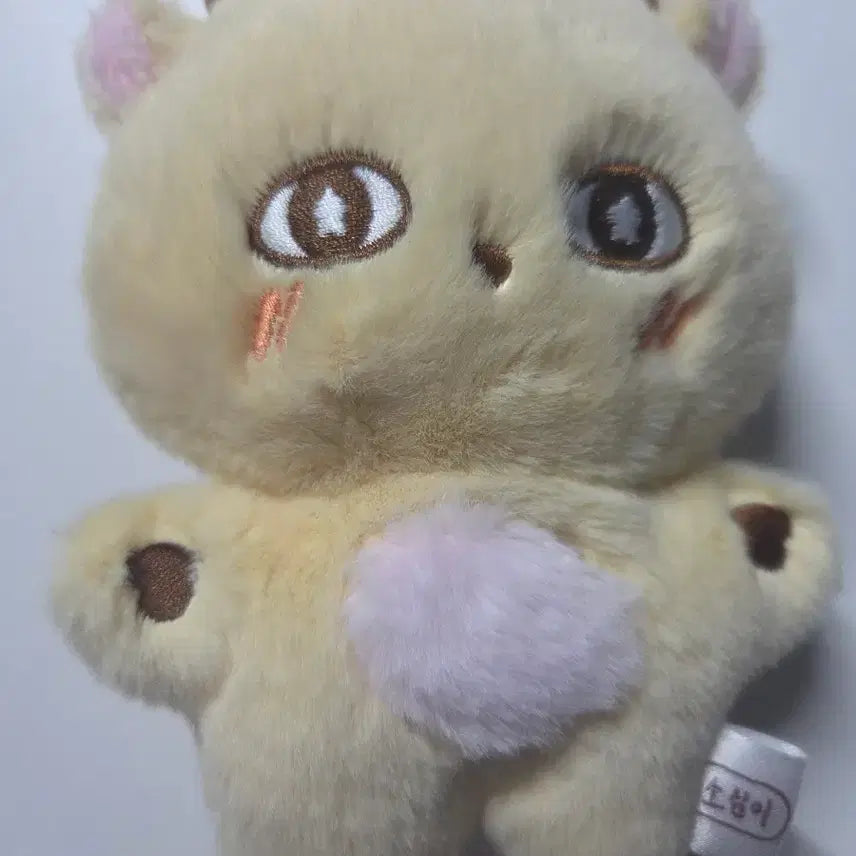 [BUNJANG] Park Ji Hoon So Sim Yi Doll Bundle Set / 소심이(포카 포함),박지훈 명찰 판매