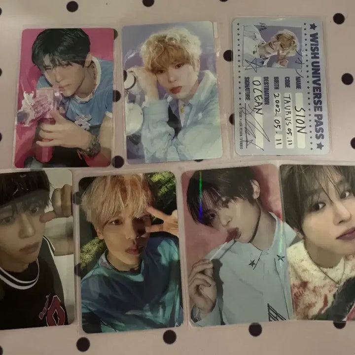 [BUNJANG] NCT WISH Sion Photocard Bundle Set / 엔시티위시 시온 포카 포토카드 일괄