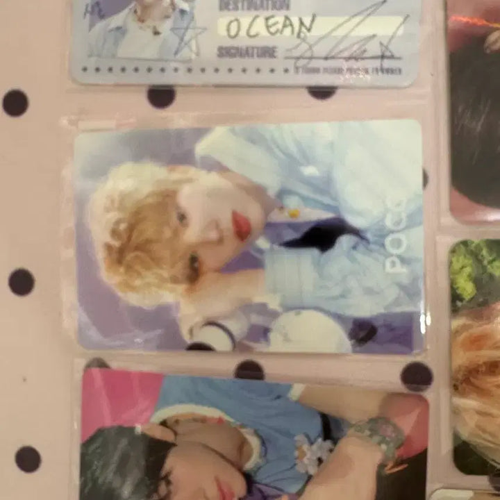 [BUNJANG] NCT WISH Sion Photocard Bundle Set / 엔시티위시 시온 포카 포토카드 일괄