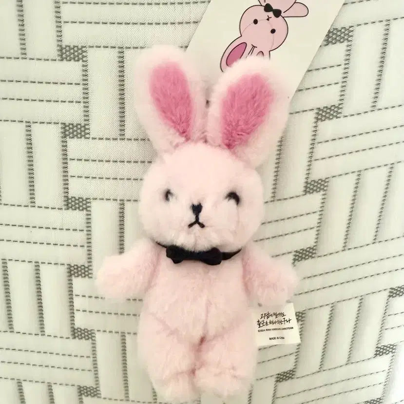 [BUNJANG] Good Friend Character Keyring Brown / 괴담출근 착한친구 인형 키링 브라운 착친 괴출