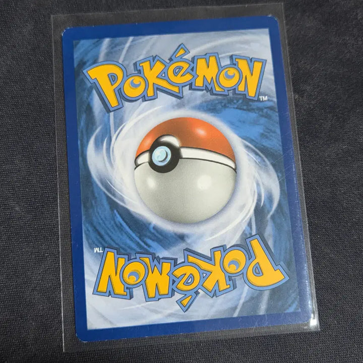 [BUNJANG] Pokemon TCG North American XY Evolutions Pokedex Card / [포켓몬 카드] 북미판 xy에볼루션 포켓몬도감