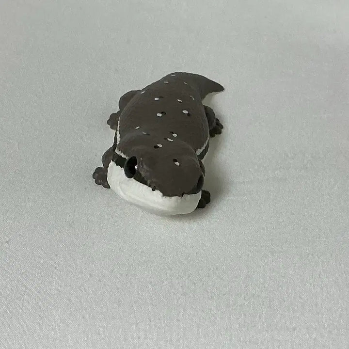 [BUNJANG] Bandai Tenori Friends Tokay Gecko / 반다이 테노리 프렌즈 큰입도마뱀