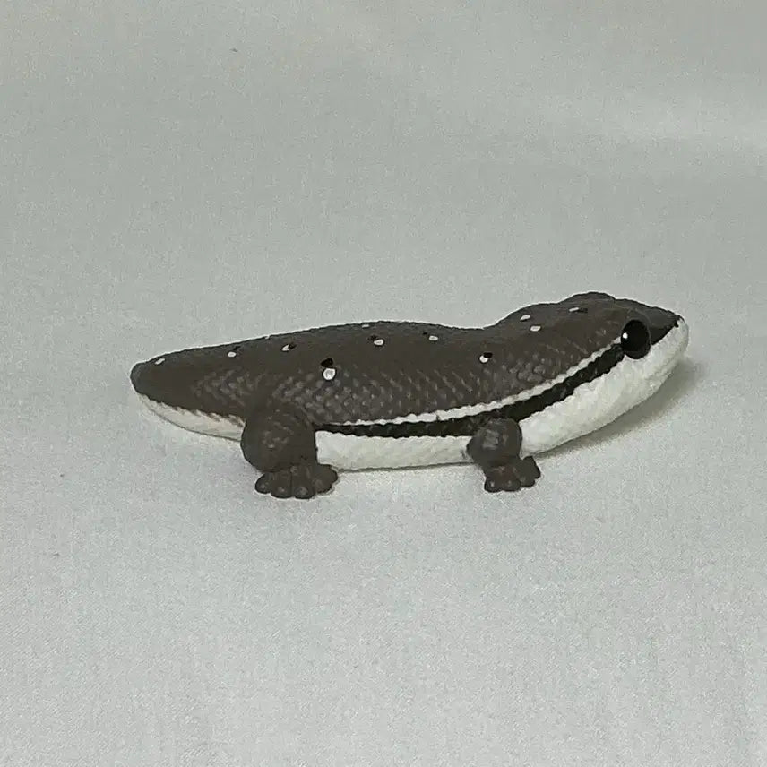 [BUNJANG] Bandai Tenori Friends Tokay Gecko / 반다이 테노리 프렌즈 큰입도마뱀